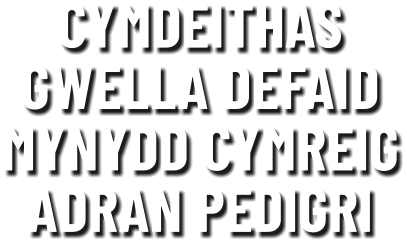 CYMDEITHAS GWELLA DEFAID MYNYDD CYMREIG ADRAN PEDIGRI