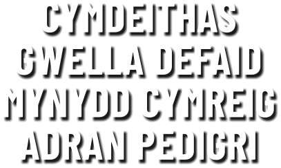 CYMDEITHAS GWELLA DEFAID MYNYDD CYMREIG ADRAN PEDIGRI